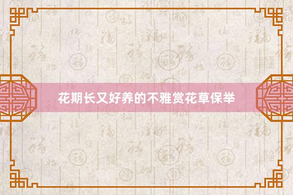 花期长又好养的不雅赏花草保举