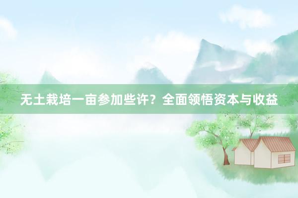 无土栽培一亩参加些许？全面领悟资本与收益