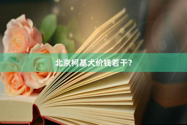 北京柯基犬价钱若干？