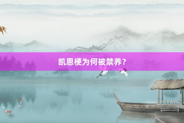 凯恩梗为何被禁养？
